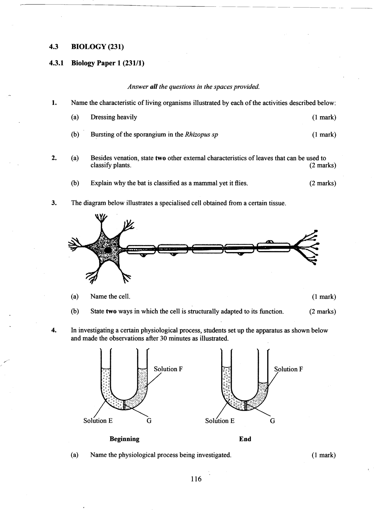 No preview available